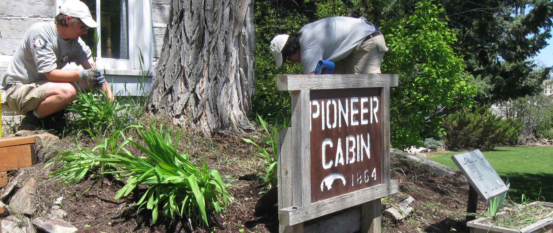 Renovating Pioneer Cabin Yard